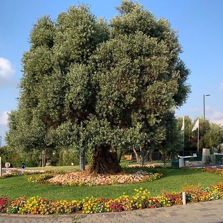 Mina'S Suites - קיסריה Exteriör bild